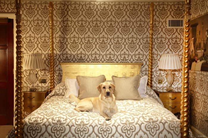 Pet luxury dog hotels london friendly hotel accommodation architecturaldigest beautiful around world luxurious choose board